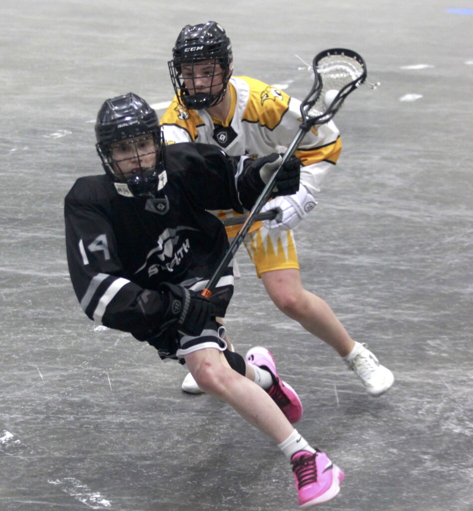 Predators vs Stealth 4