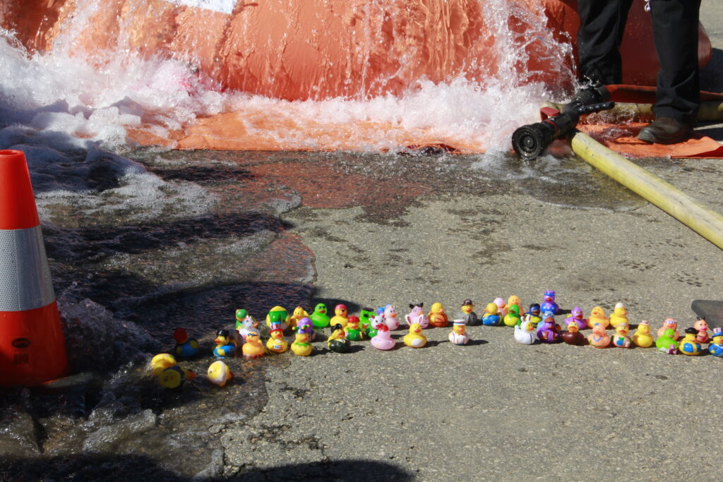 Duck Race 2