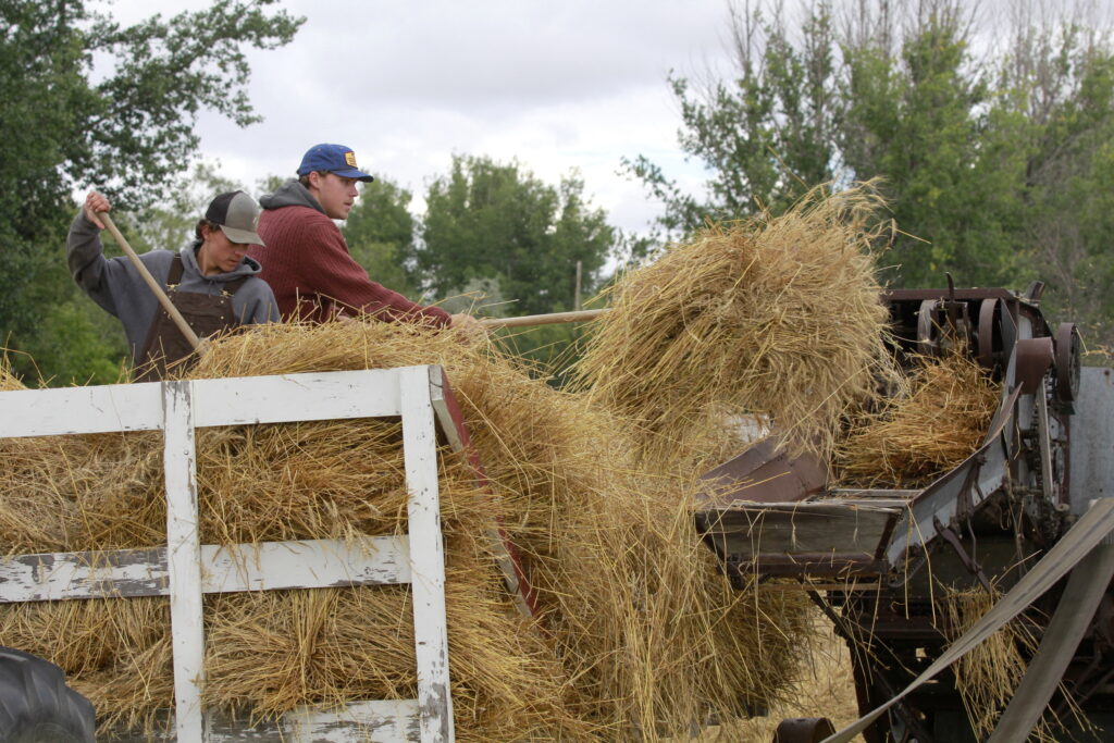 Threshing Demo 1